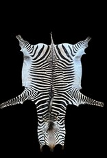 M381 Zebra Rug the most beautiful of all