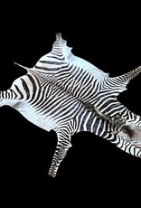 M381 Zebra Rug the most beautiful of all