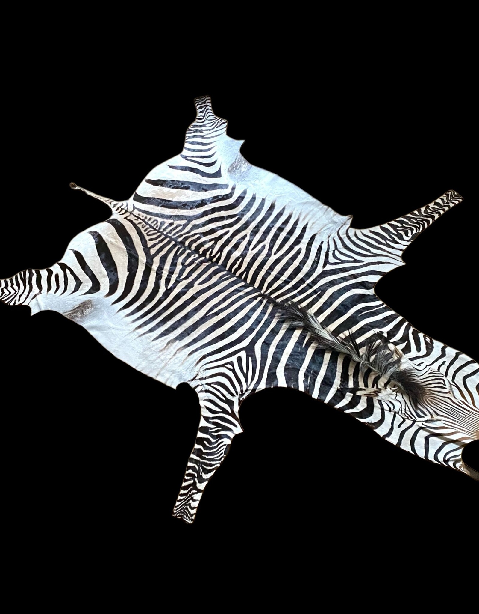 M381 Zebra Rug the most beautiful of all