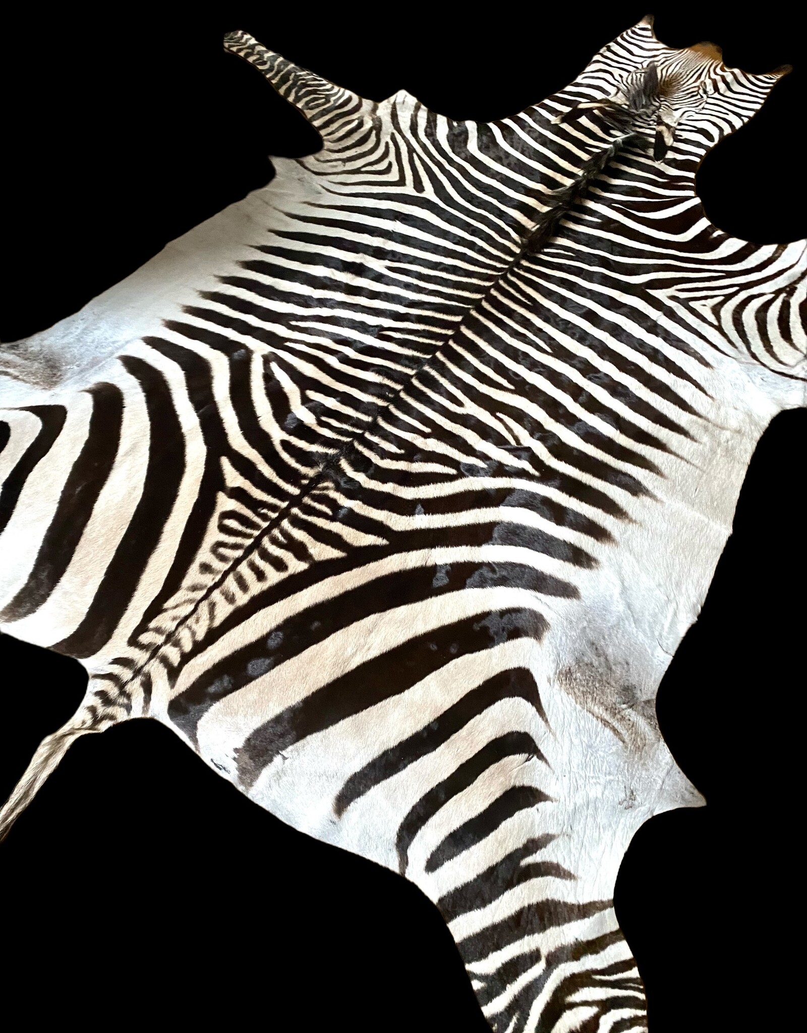 Zebrafell M382 M Fell  Gobabis