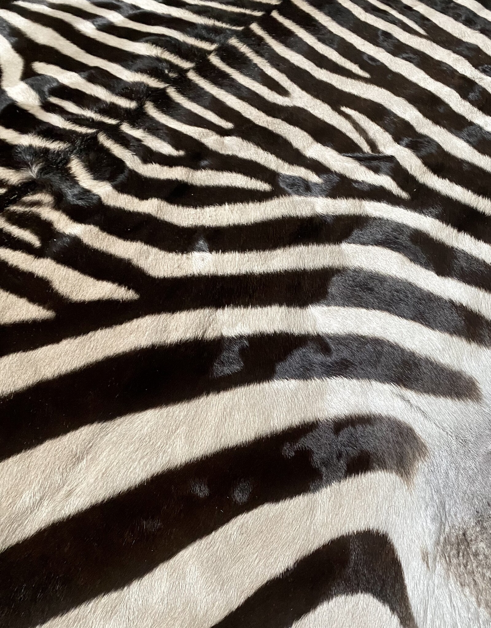 Zebrafell M382 M Fell  Gobabis