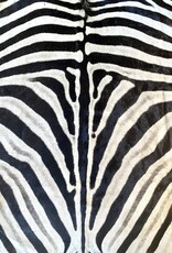 Steppen oder Burchell Zebrafell M382 Zebrafell  Xl fell