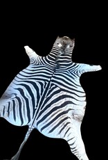 Steppen oder Burchell Zebrafell M382 Zebrafell  Xl fell