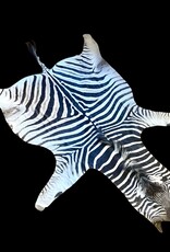 Steppen oder Burchell Zebrafell M382 Zebrafell  Xl fell