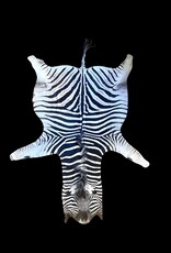 Steppen oder Burchell Zebrafell M382 Zebrafell  Xl fell