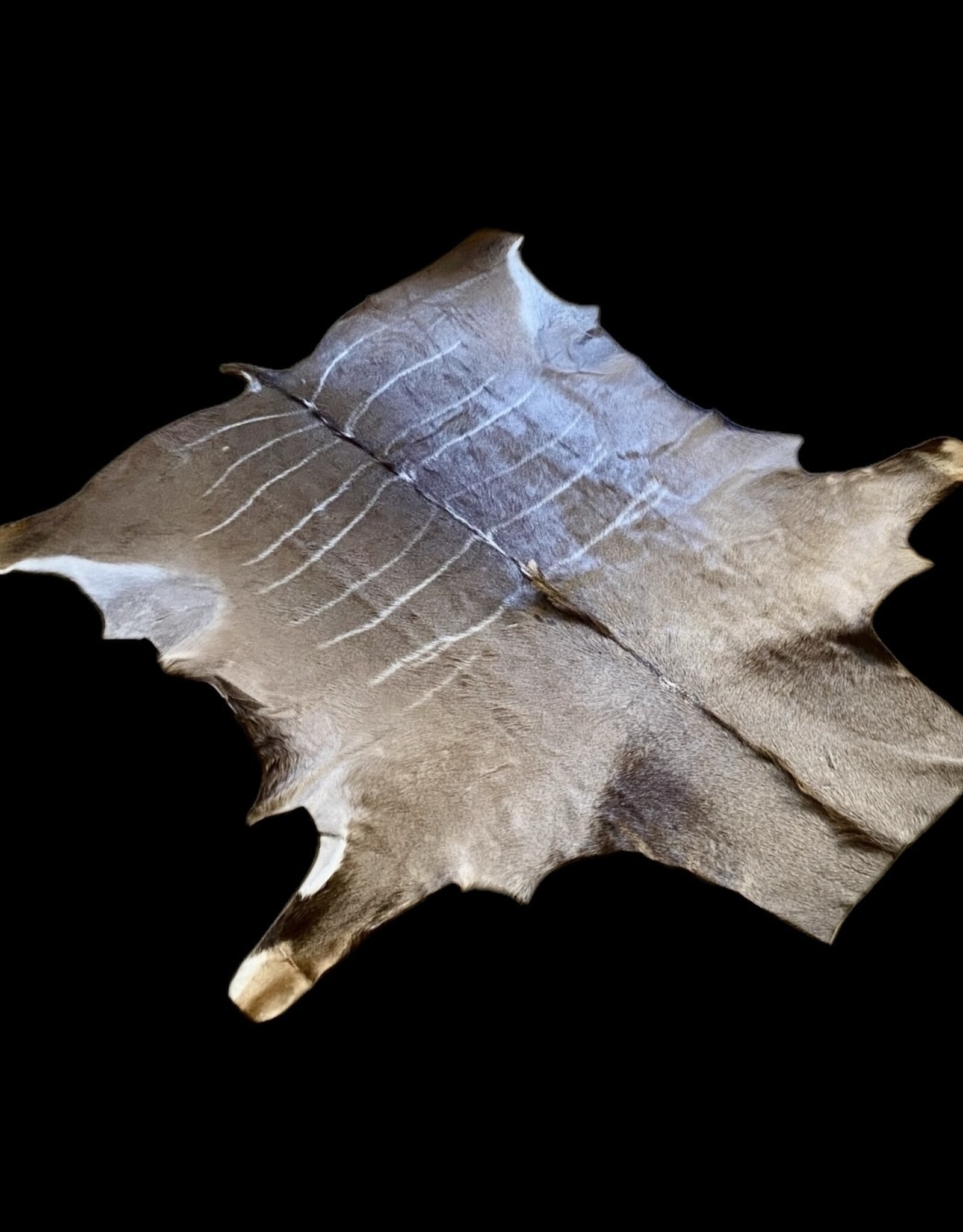 Das schönste Gnu  fell von allen, aussergewöhnlich! - Copy