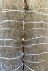 The most beautiful Kuduhide  hide of all, extraordinary! - Copy