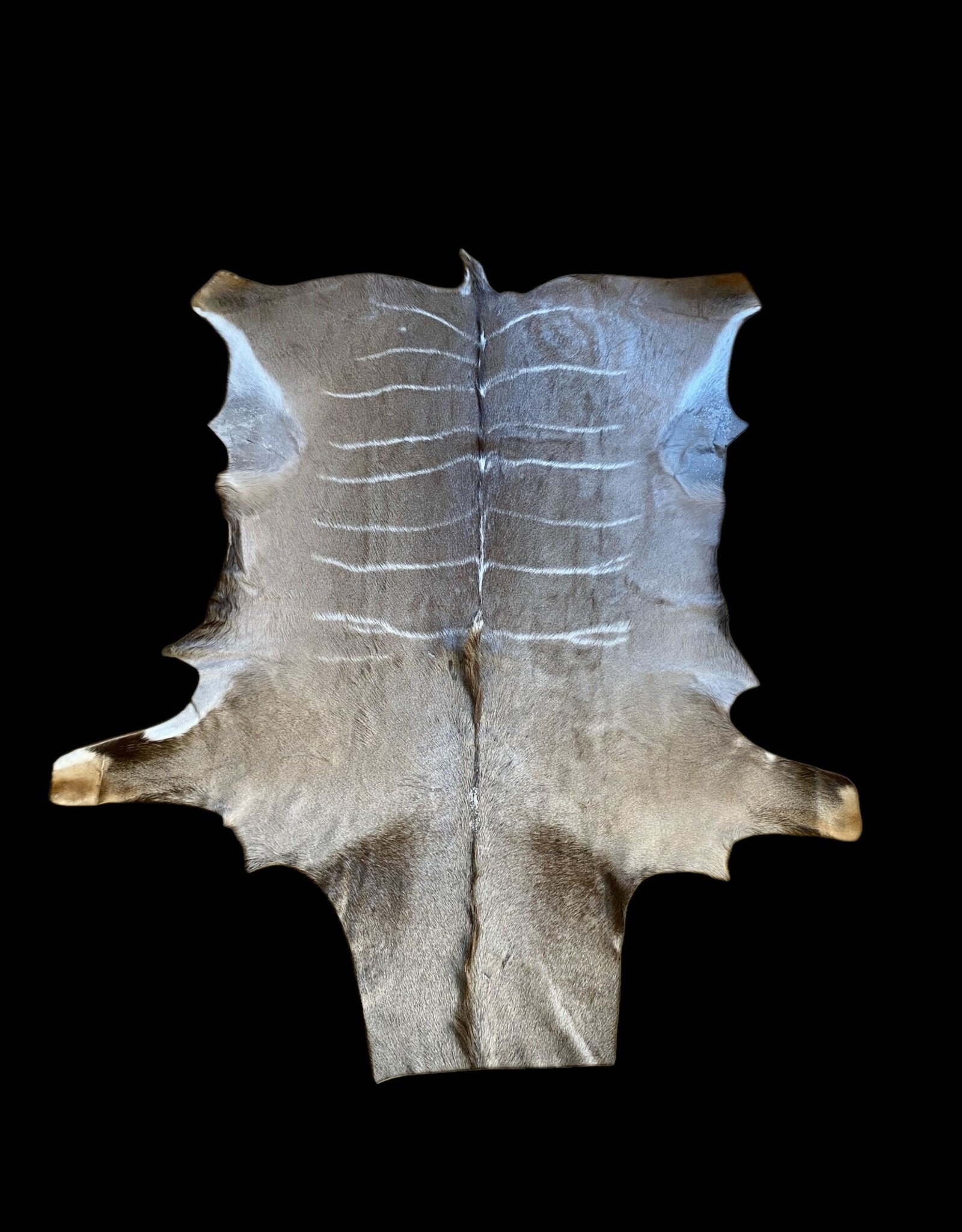 Das schönste Gnu  fell von allen, aussergewöhnlich! - Copy