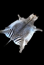 Zebrafell  M371 Xl Capetown