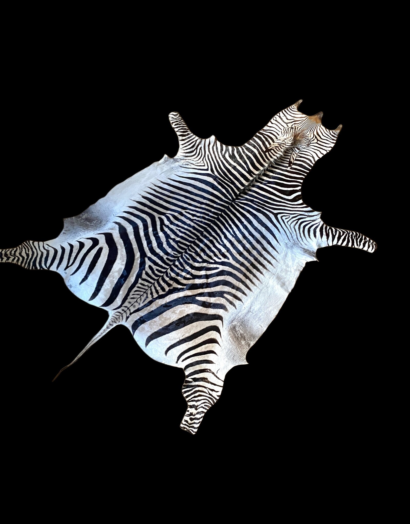 Zebrafell  M371 Xl Capetown