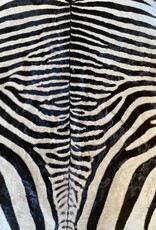Zebrafell  M371 Xl Capetown