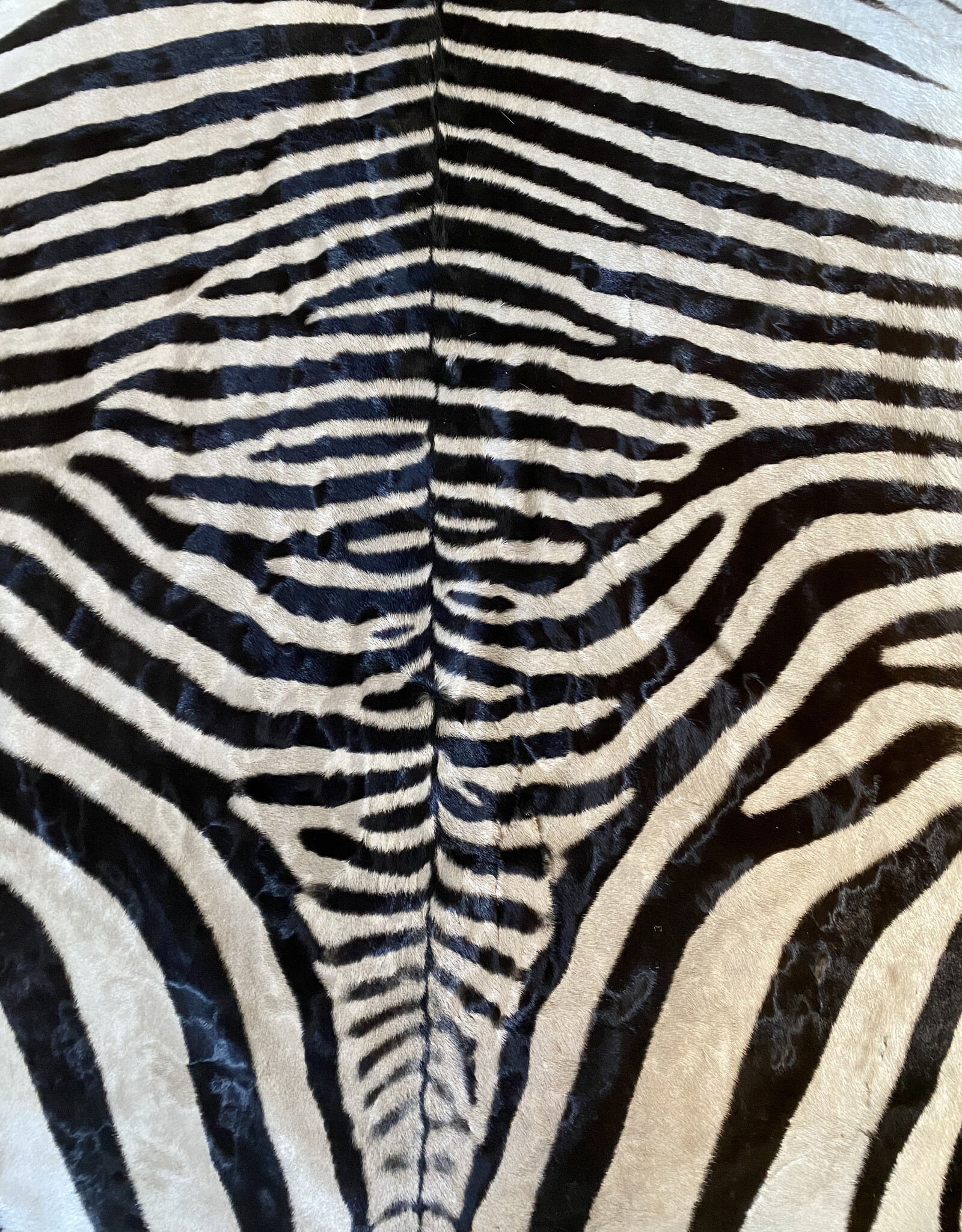 Zebrafell  M371 Xl Capetown