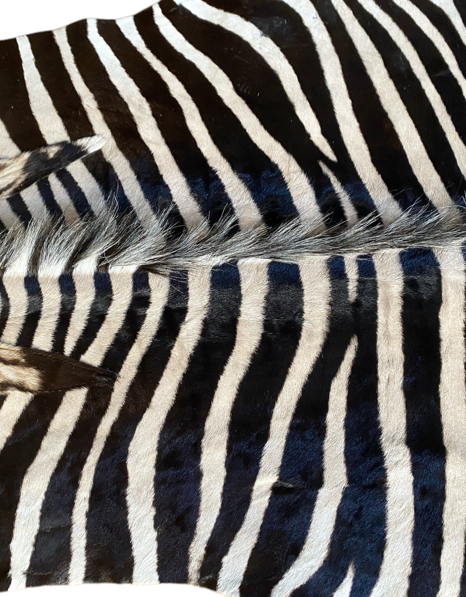 Zebrafell  M371 Xl Capetown