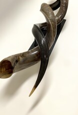 Kuduhorn teilgeschliffen doppelt auf Metallstand -