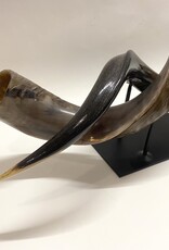 Kuduhorn teilgeschliffen doppelt auf Metallstand -