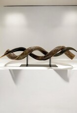 Kuduhorn teilgeschliffen doppelt auf Metallstand -