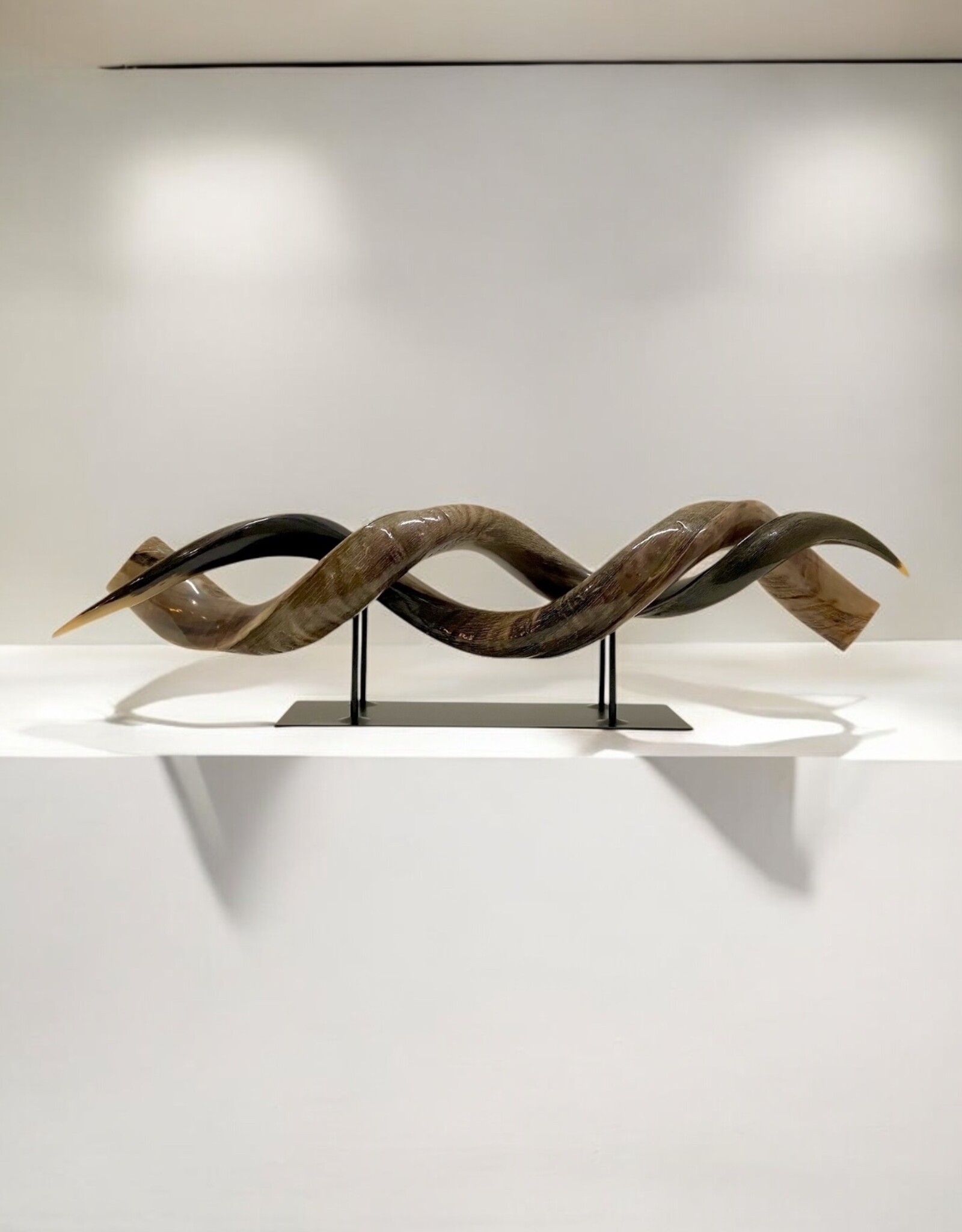 Kudu horn partly ground double on metal stand