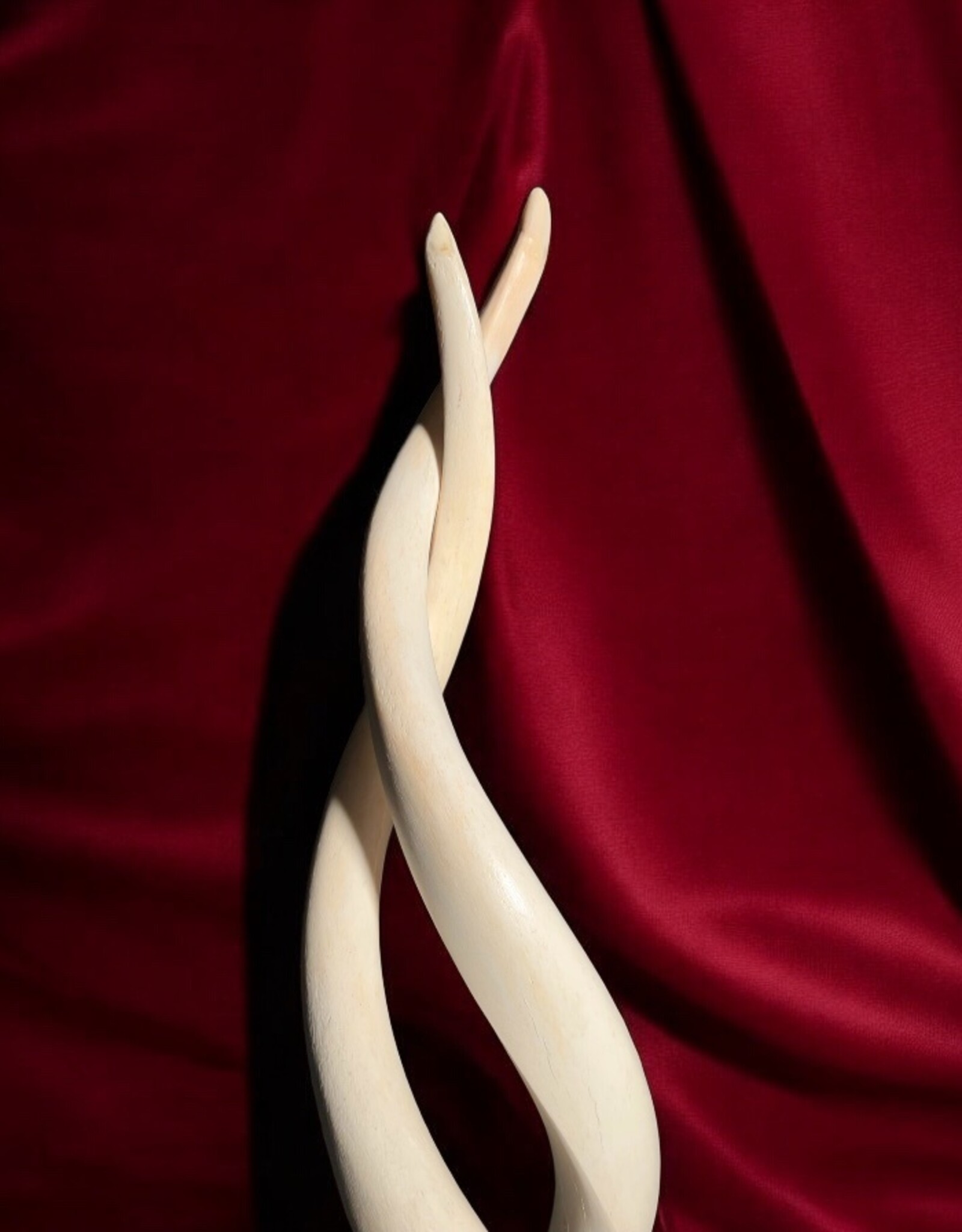 Kudu horn sculpture white, like ivory - Copy