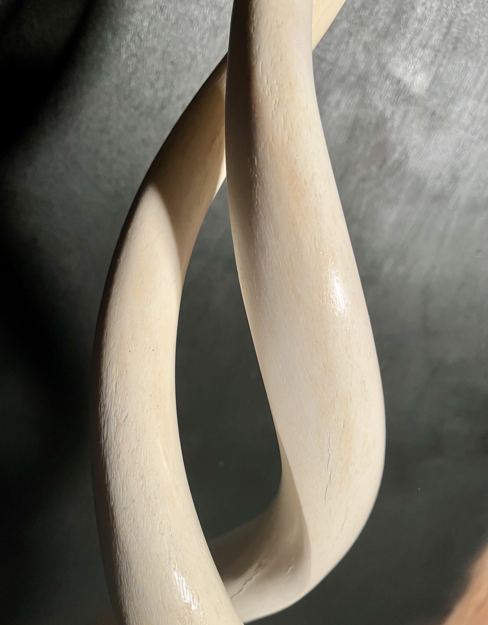 Kudu horn sculpture white, like ivory - Copy