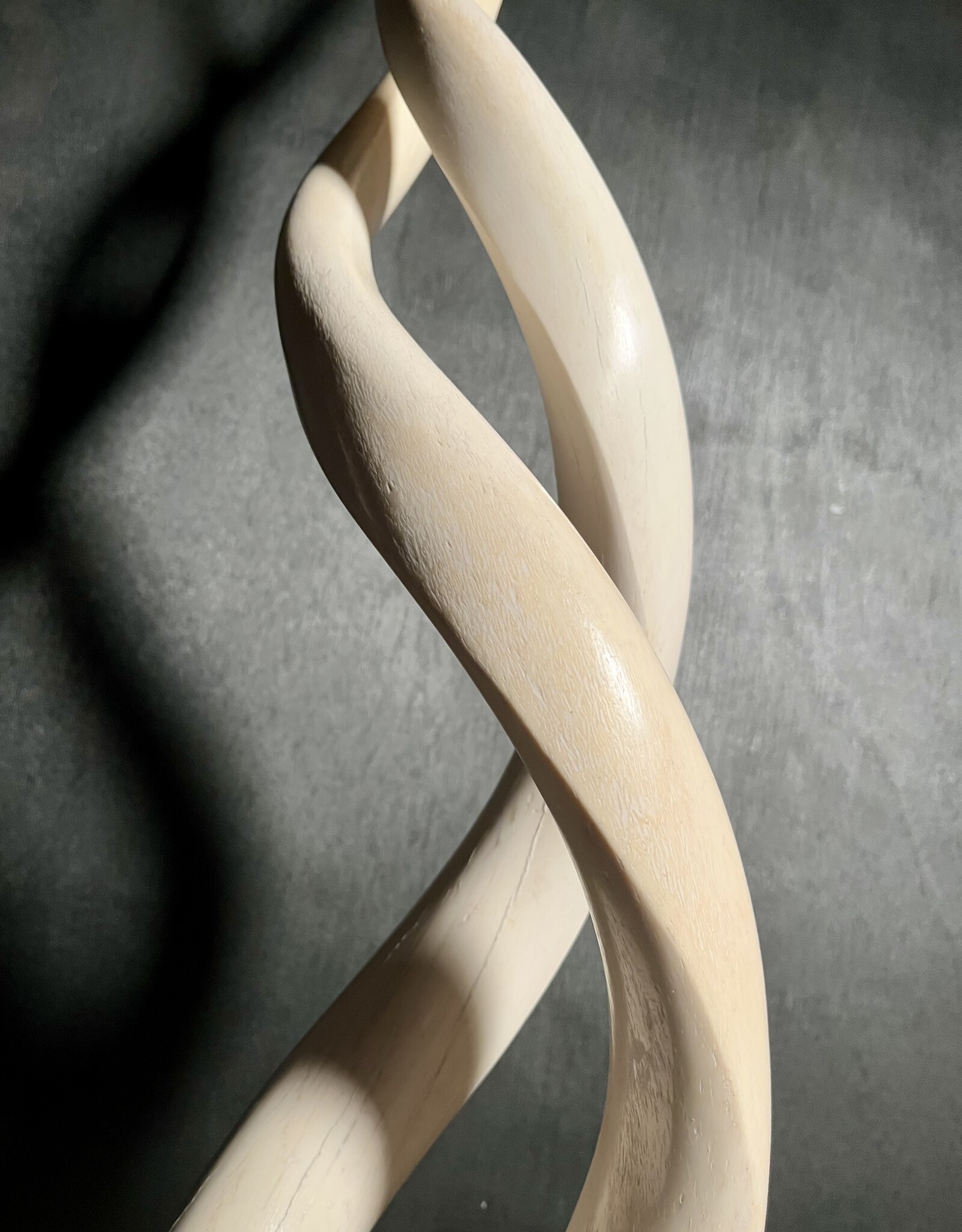 Kudu horn sculpture white, like ivory - Copy