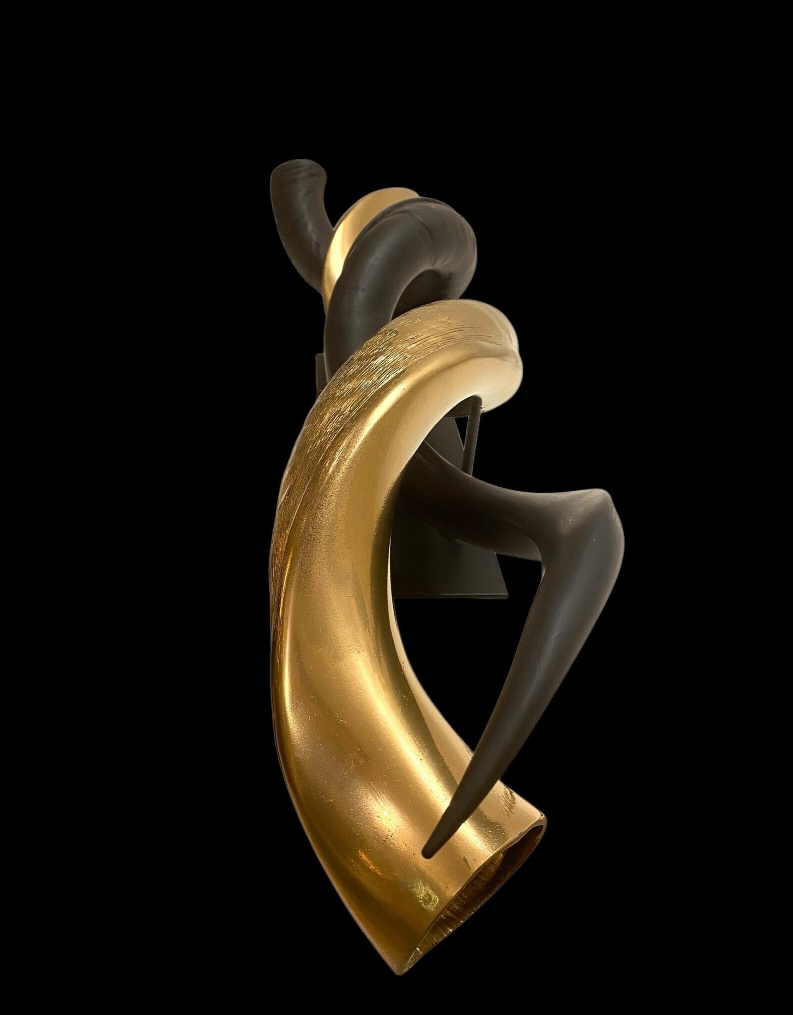Kuduhorn teilgeschliffen doppelt auf Metallstand Gold / matt schwarz