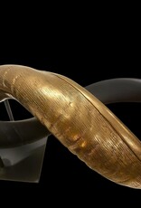 Kuduhorn teilgeschliffen doppelt auf Metallstand Gold / matt schwarz