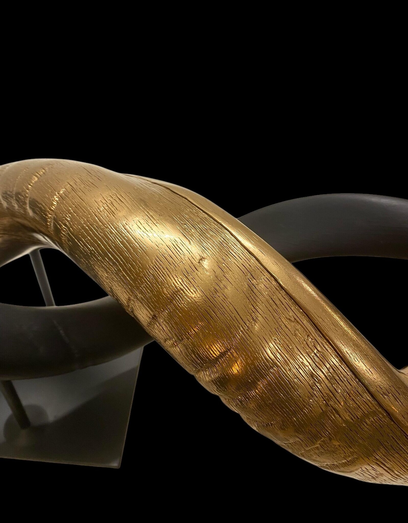 Kuduhorn teilgeschliffen doppelt auf Metallstand Gold / matt schwarz