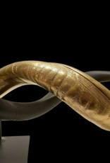 Kuduhorn teilgeschliffen doppelt auf Metallstand Gold / matt schwarz