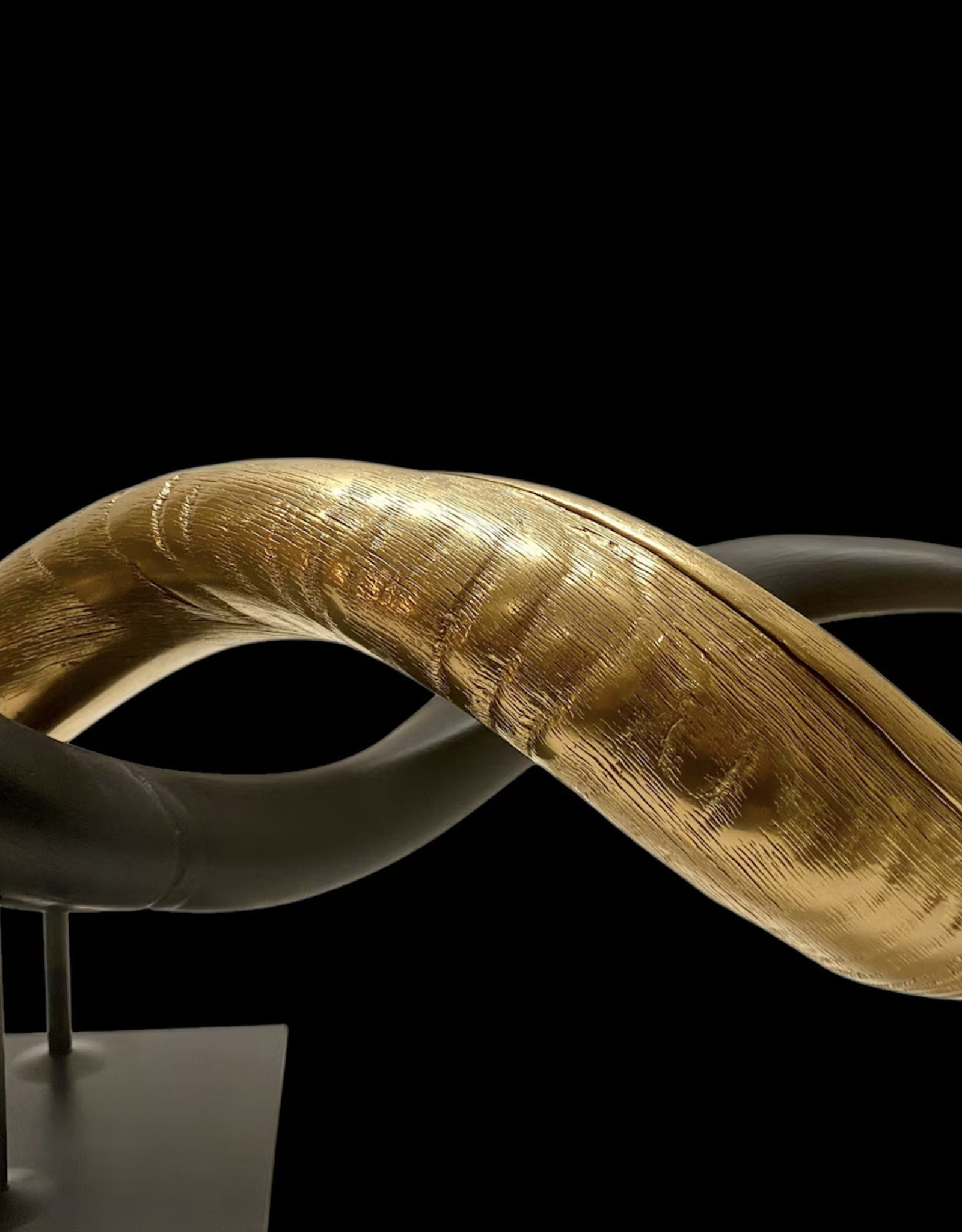 Kuduhorn teilgeschliffen doppelt auf Metallstand Gold / matt schwarz