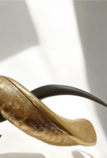 Kuduhorn teilgeschliffen doppelt auf Metallstand Gold / matt schwarz