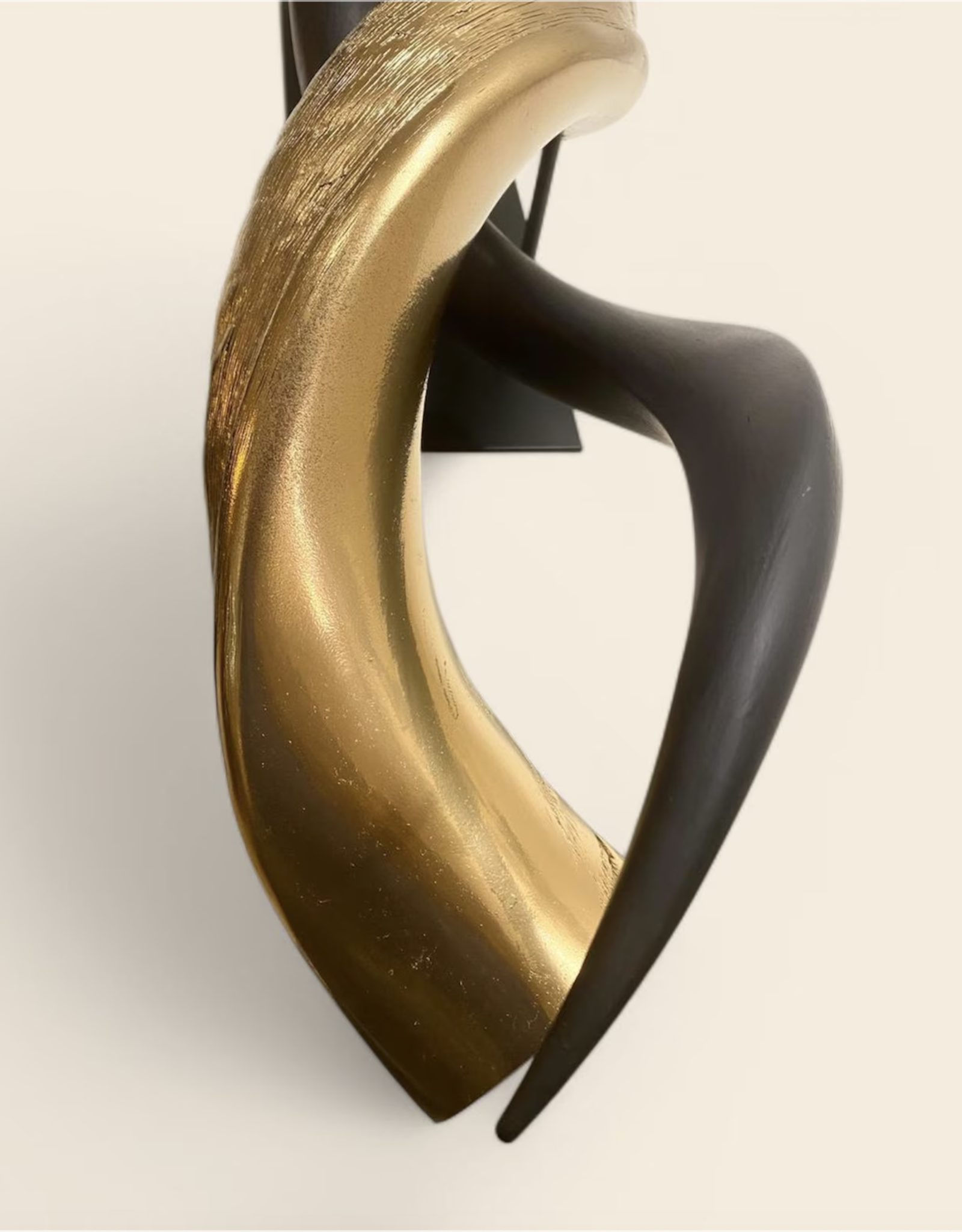 Kuduhorn teilgeschliffen doppelt auf Metallstand Gold / matt schwarz