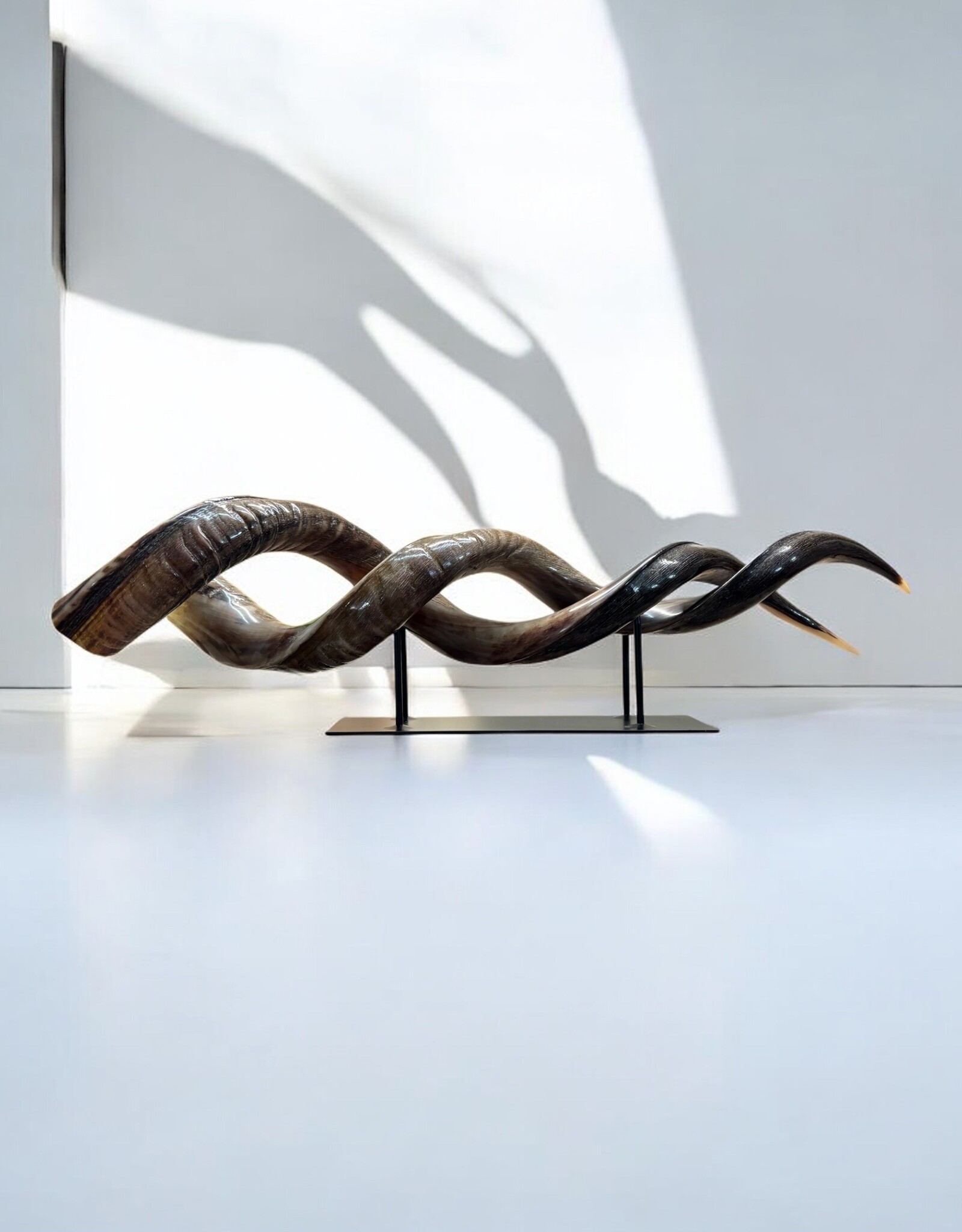 Kudu horn partly ground double on metal stand