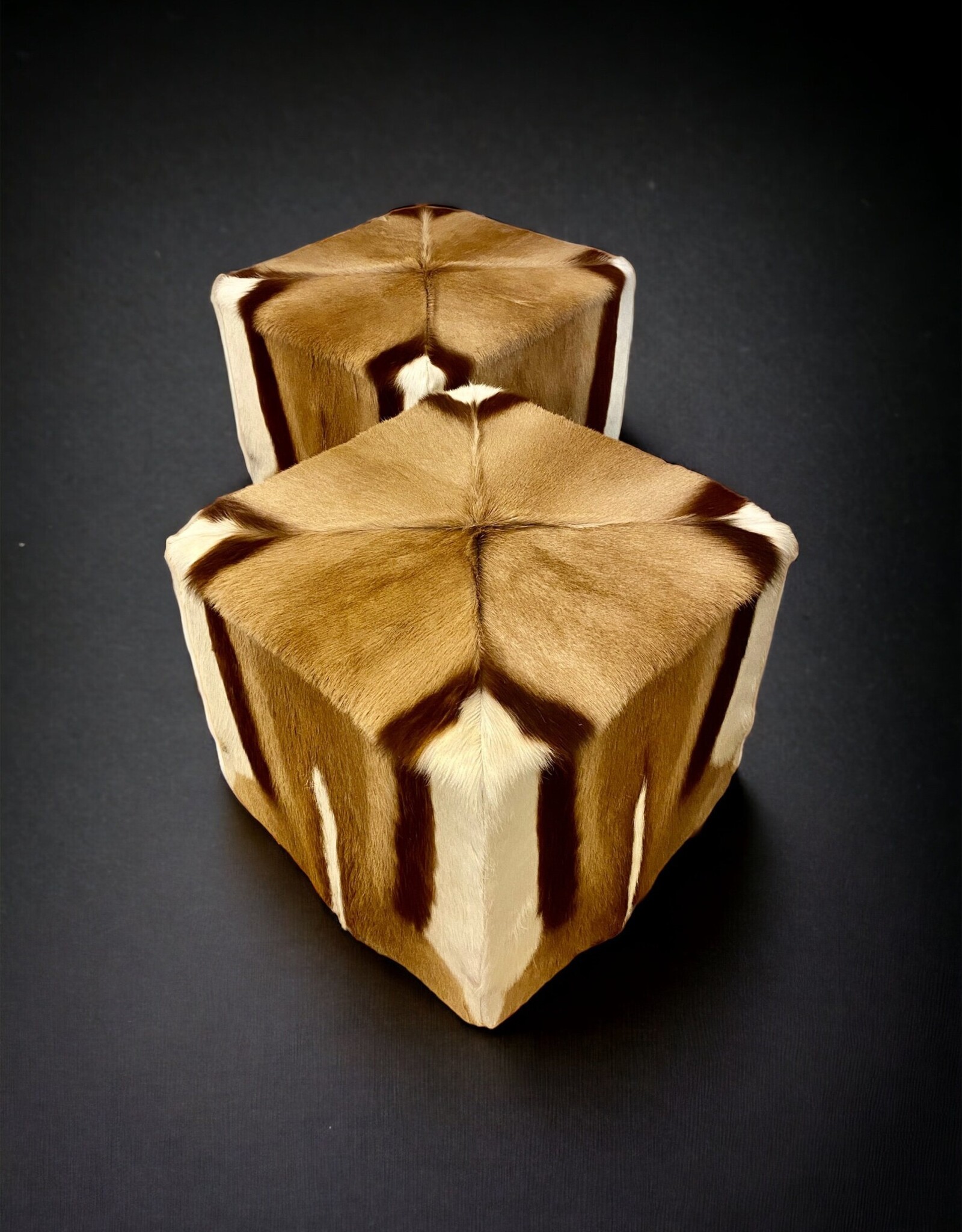 Springbok stool CUBE2