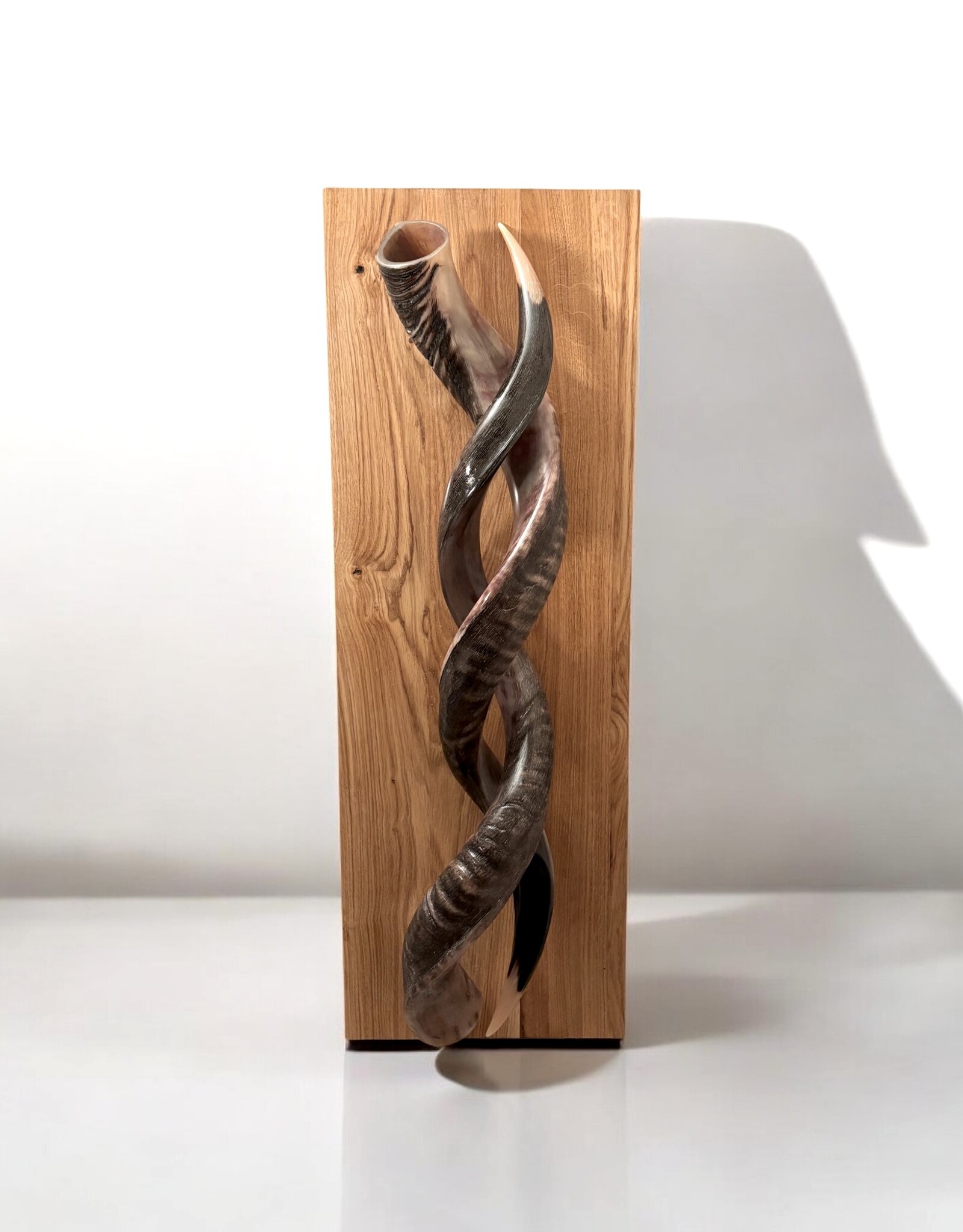 Sculpture made of natural colored kudu horns partially sanded on flamed wood Natural. Harmonious. Timeless.
