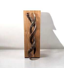 Kudu horn wall sculpture noble and unique on oak wood