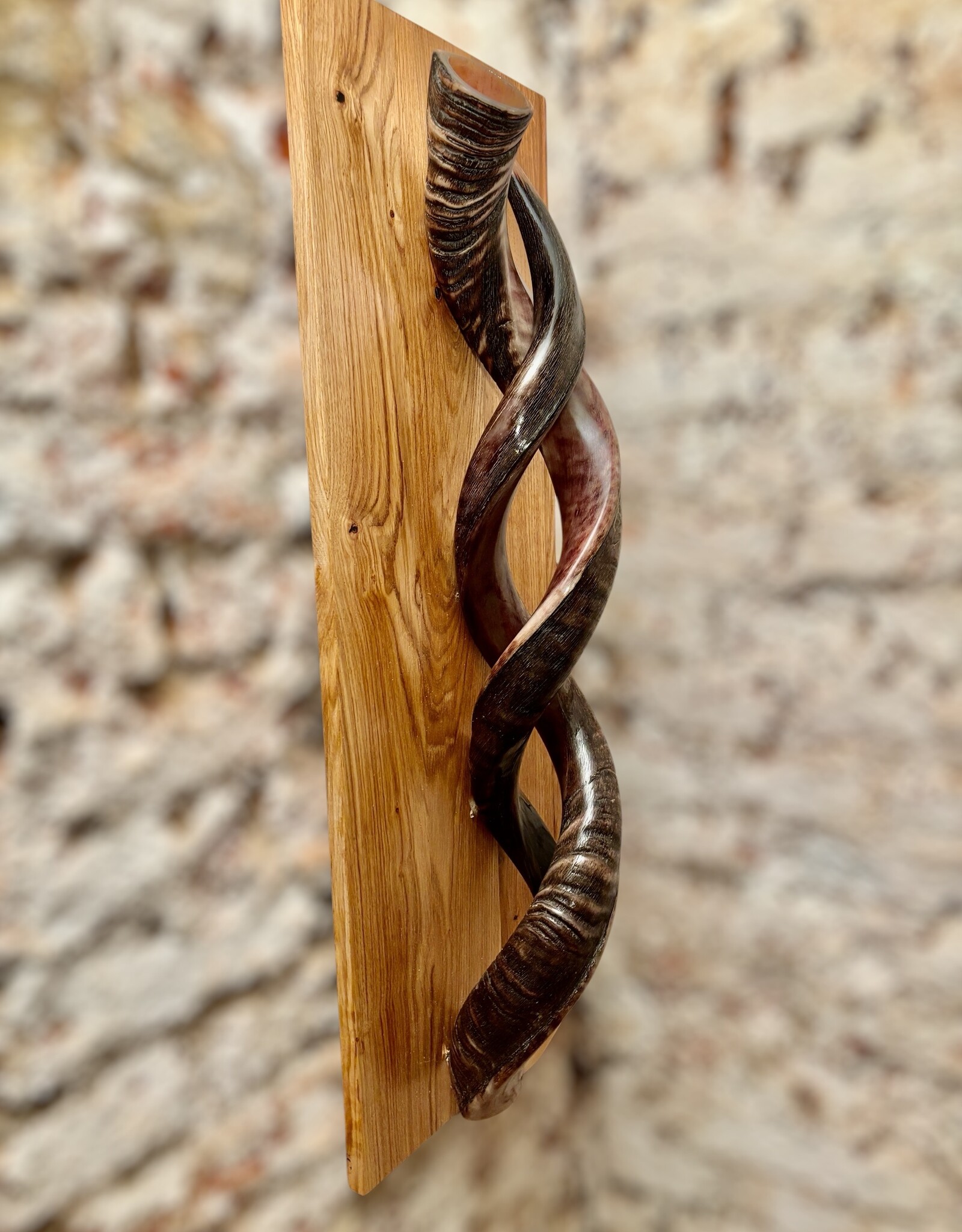 Sculpture made of natural colored kudu horns partially sanded on flamed wood Natural. Harmonious. Timeless.