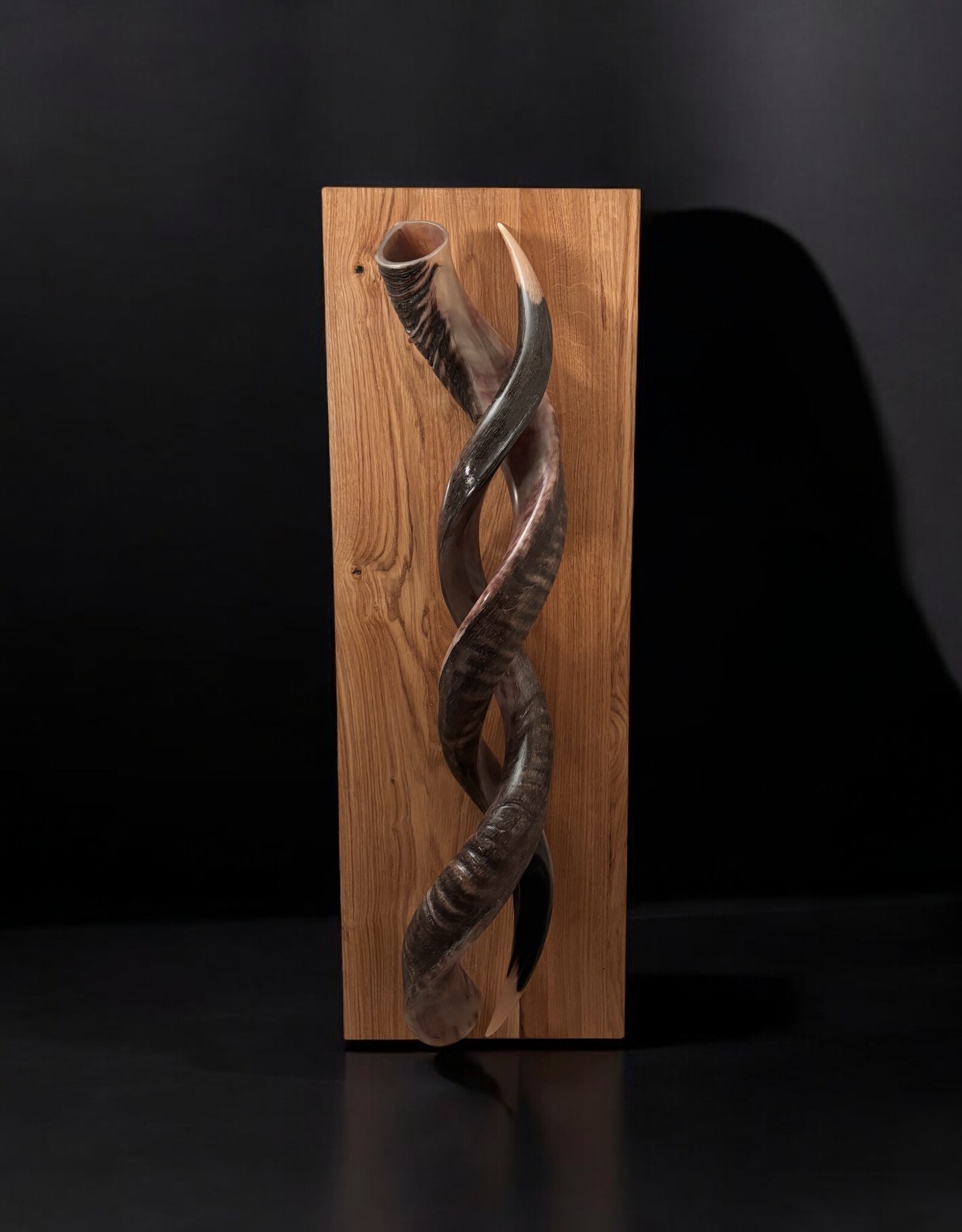 Sculpture made of natural colored kudu horns partially sanded on flamed wood Natural. Harmonious. Timeless.
