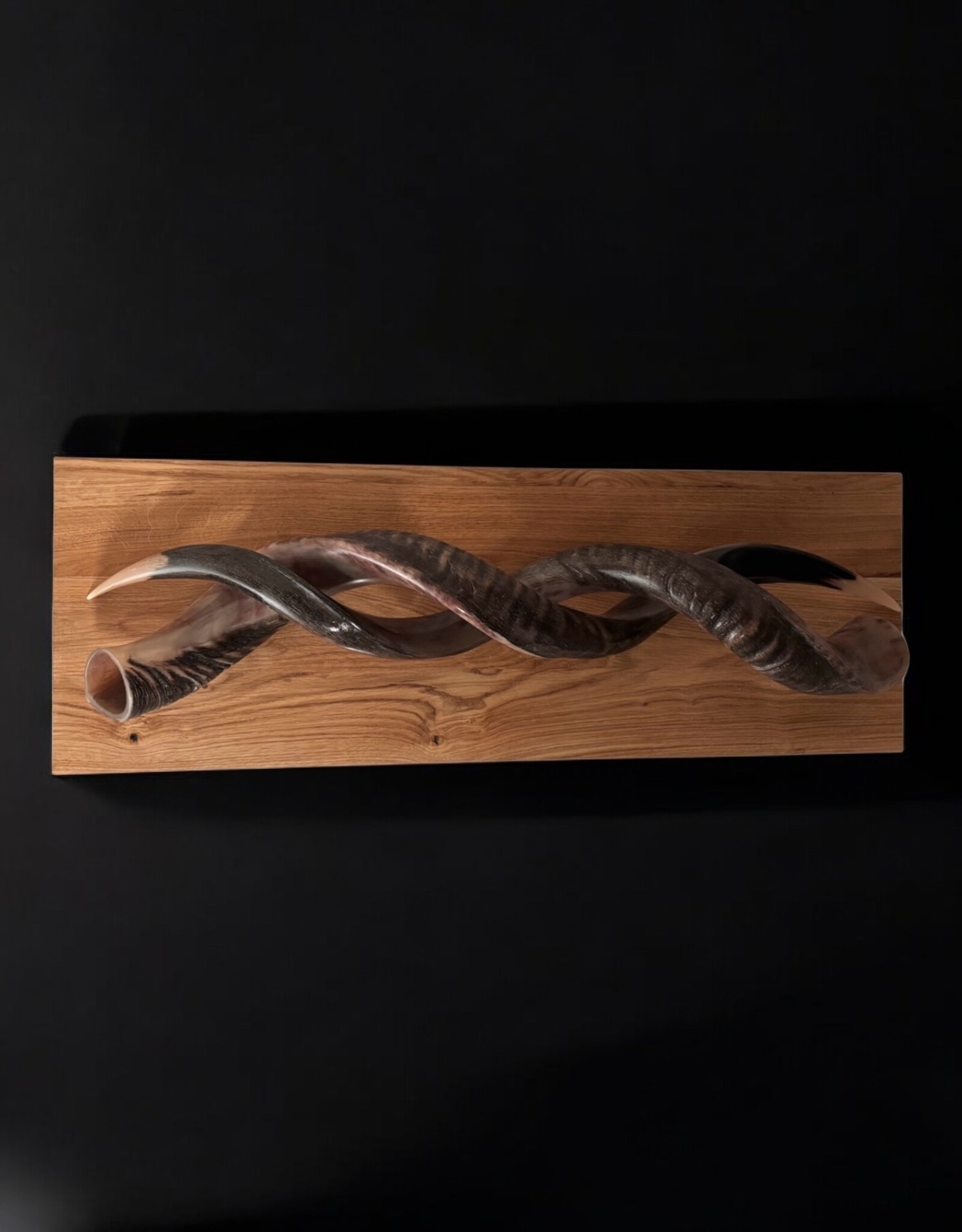 Sculpture made of natural colored kudu horns partially sanded on flamed wood Natural. Harmonious. Timeless.