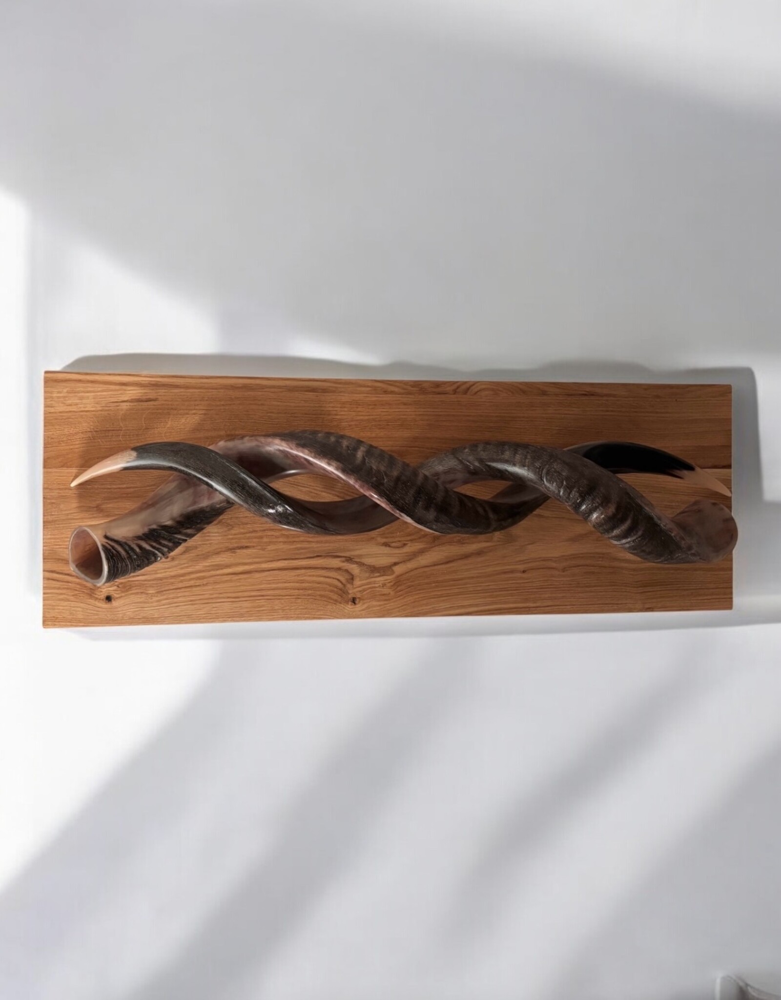 Sculpture made of natural colored kudu horns partially sanded on flamed wood Natural. Harmonious. Timeless.