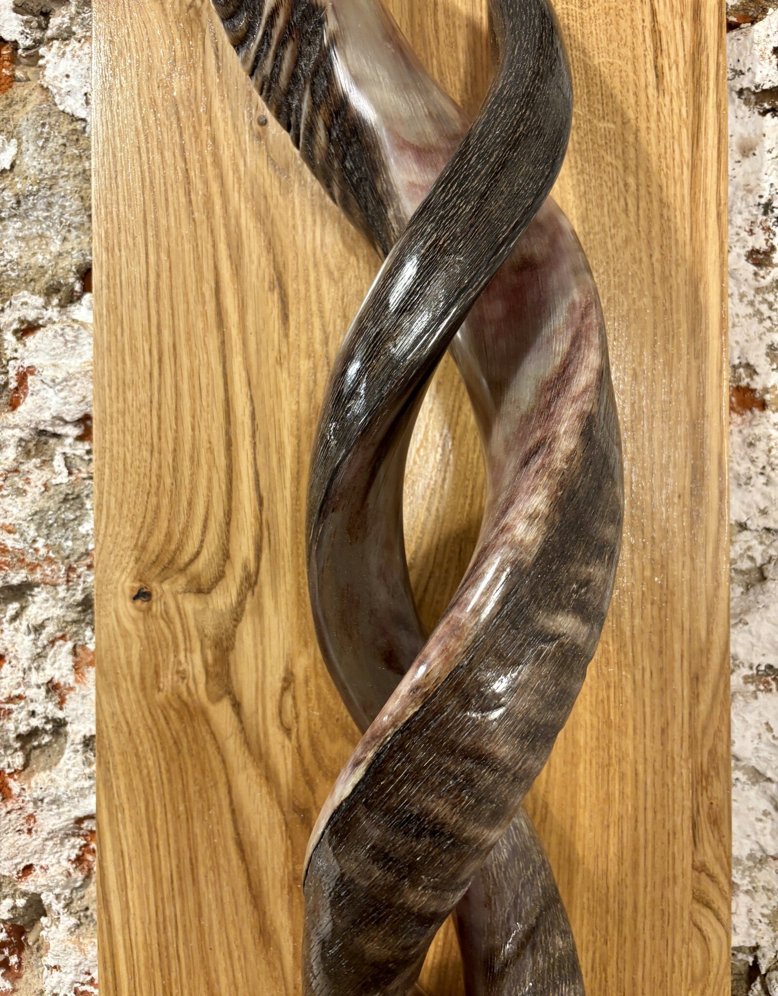 Sculpture made of natural colored kudu horns partially sanded on flamed wood Natural. Harmonious. Timeless.