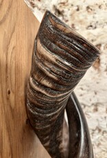 Sculpture made of natural colored kudu horns partially sanded on flamed wood Natural. Harmonious. Timeless.
