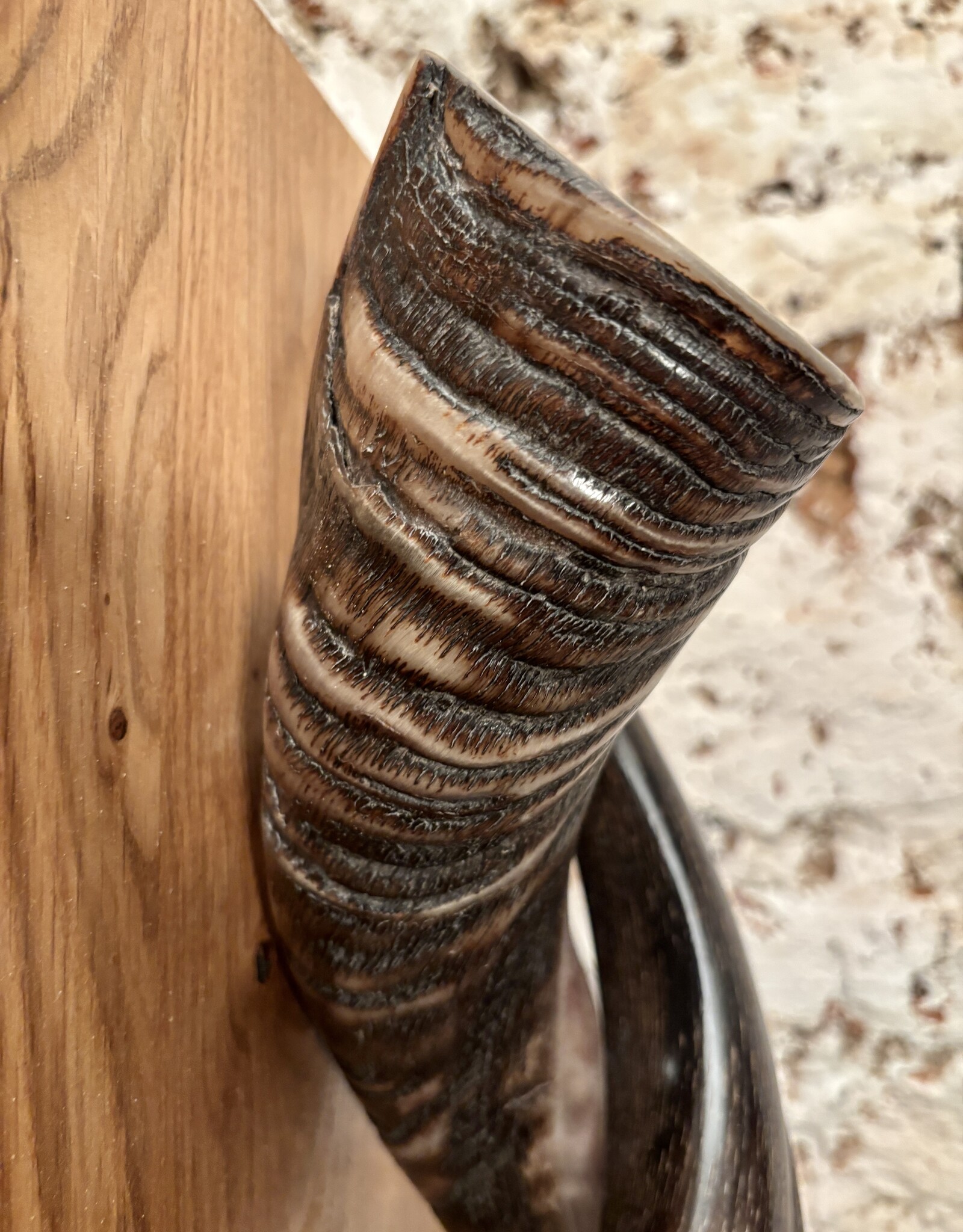 Sculpture made of natural colored kudu horns partially sanded on flamed wood Natural. Harmonious. Timeless.