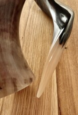 Sculpture made of natural colored kudu horns partially sanded on flamed wood Natural. Harmonious. Timeless.
