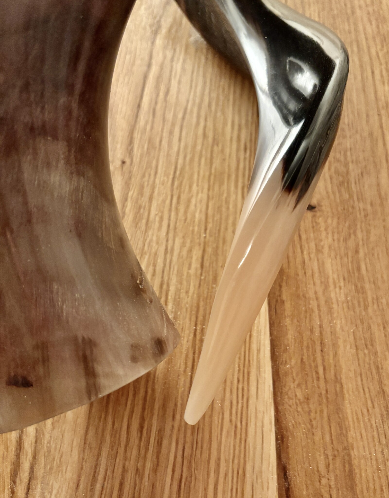 Sculpture made of natural colored kudu horns partially sanded on flamed wood Natural. Harmonious. Timeless.