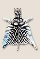 Beautifully large and beautiful Steppe zebra skin  M383
