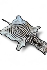 Beautifully large and beautiful Steppe zebra skin