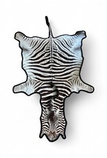 Beautifully large and beautiful Steppe zebra skin