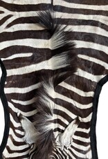 Beautifully large and beautiful Steppe zebra skin