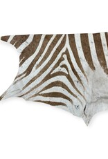 Real zebra skin remnant for further processing R074