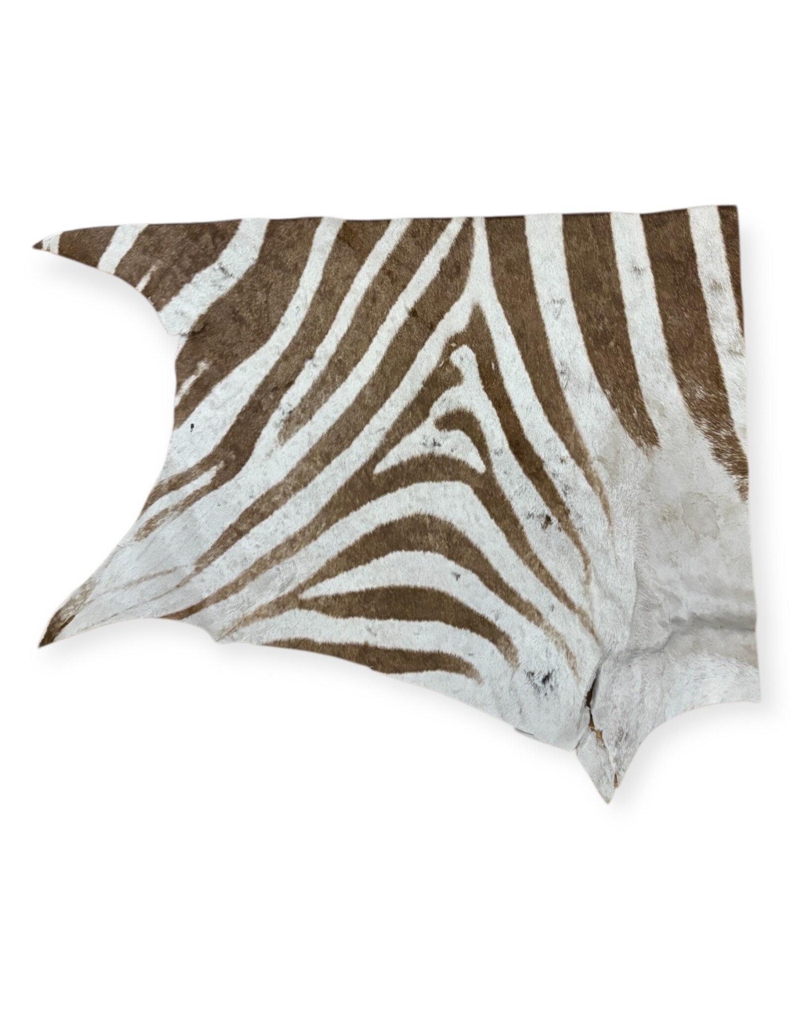 Real zebra skin remnant for further processing R074